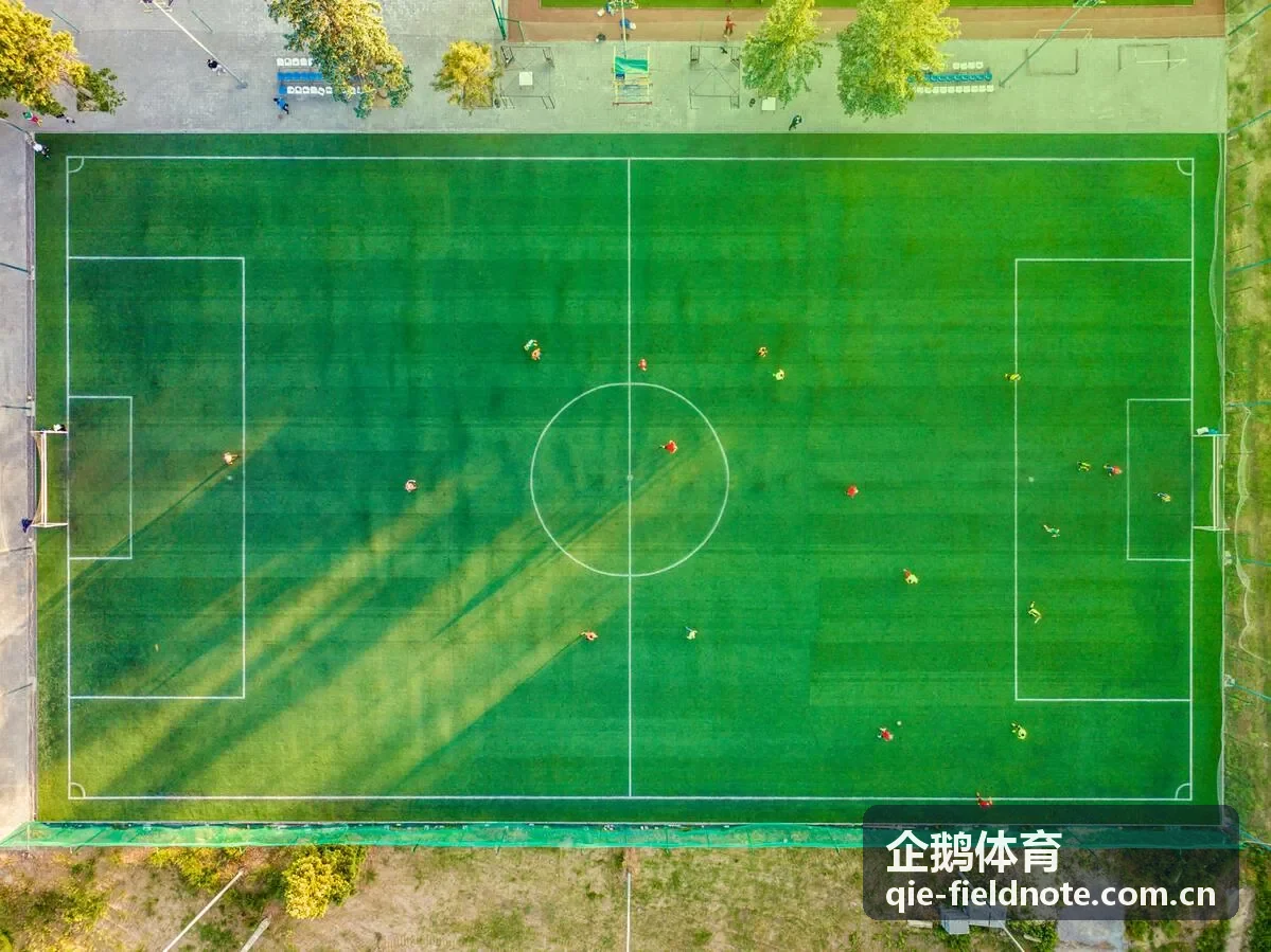 企鹅体育运动装备选购前需求评估示意图